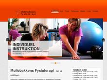 Fysioterapeut Hanne Andersen ApS